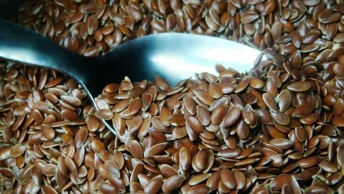 Die ultimative vegane Lebensmittel-Liste | Finde die passenden Alternativen