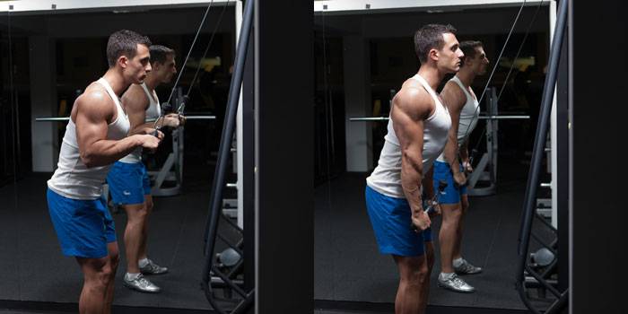 Bizeps und Trizeps: Die 6 besten Übungen für das Arm-Training