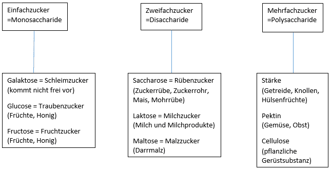Kohlenhydrathaltige Lebensmittel: Wie wirken sie? Wo stecken Kohlenhydrate drin?