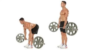 Rückentraining 101: Die 6 besten Übungen für einen starken Rücken