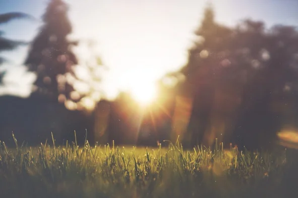 Vitamin D3 Bedarf vegan decken