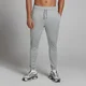 MP Herren Training Jogginghose – Storm