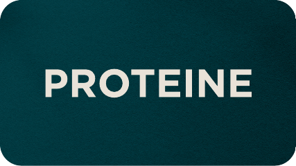 shop protein supplements